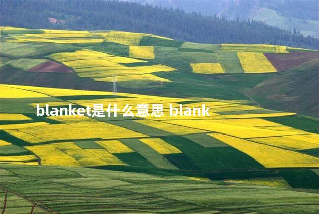 blanket是什么意思 blanket的用法